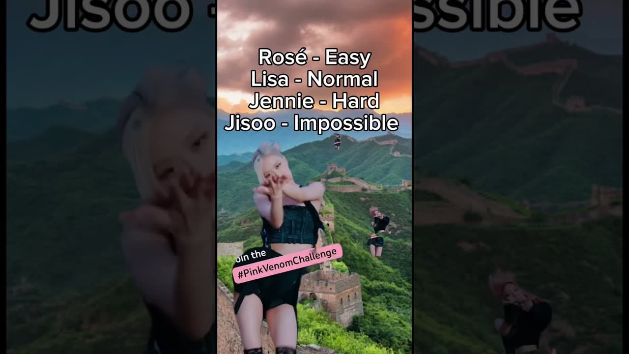 BLACKPINK Find The Members Challenge